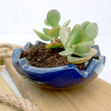 Cargar imagen en el visor de la galería, Meceteros África