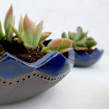 Cargar imagen en el visor de la galería, Meceteros África